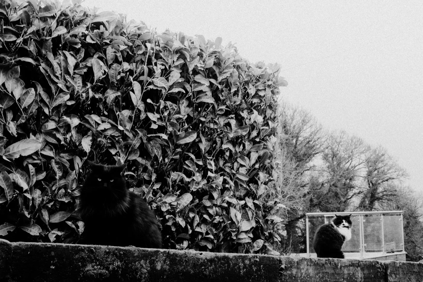 Personal photography
