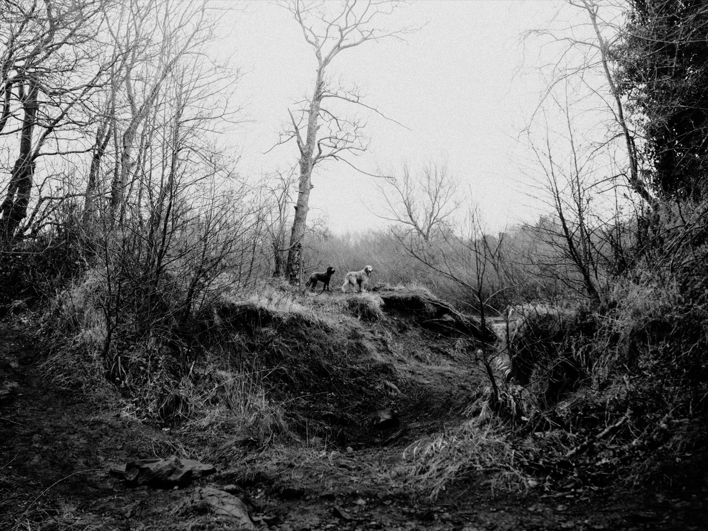 Personal photography